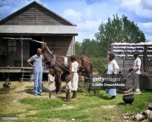Uncle Rastus 151 African American Family 1930s Stock Photos, High-Res Pictures, and ...