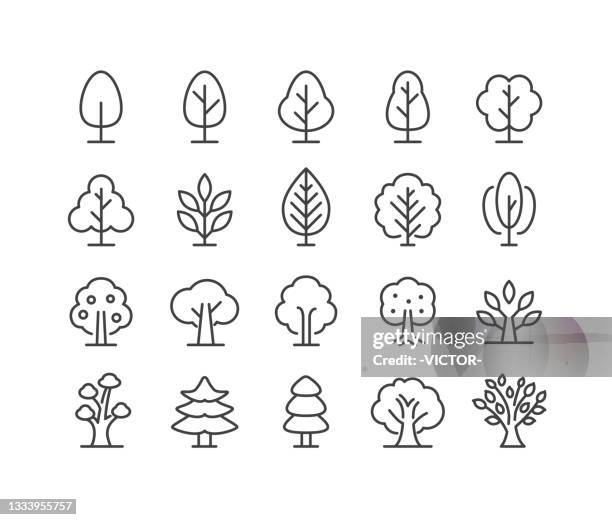 illustrazioni stock, clip art, cartoni animati e icone di tendenza di icone albero - serie linea classica - alberi