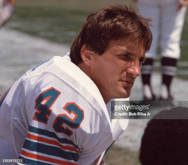 Miami Dolphins safety Lyle Blackwood during game action of Los Angeles Raiders against Miami Dolphins, August 19, 1984 in Los Angeles, California.