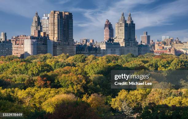 central park tree tops in new york during autumn - central park manhattan fotografías e imágenes de stock