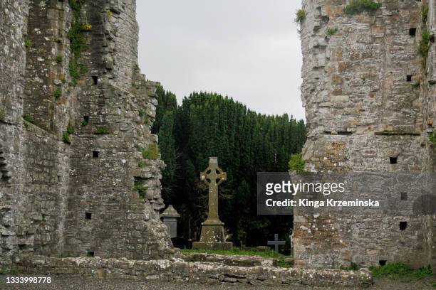 newtown cathedral ruins, trim, county meath, republic of ireland - cathedral stock pictures, royalty-free photos & images