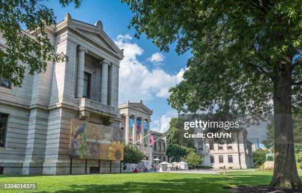 museum of fine arts - fine art statue stock pictures, royalty-free photos & images