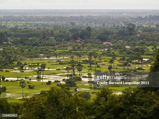 bird eye view of rice fields around angkor - angkor stock pictures, royalty-free photos & images