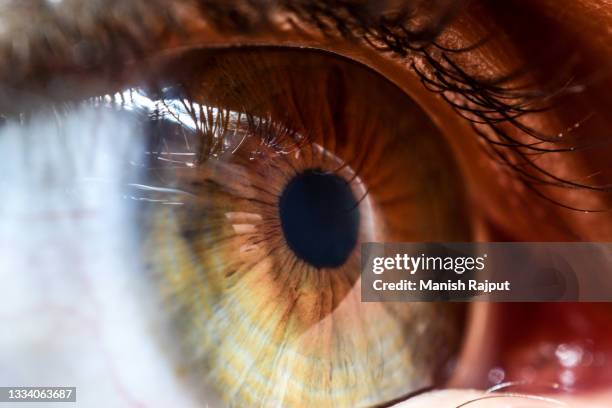 a macro photo of human eye - iris 個照片及圖片檔