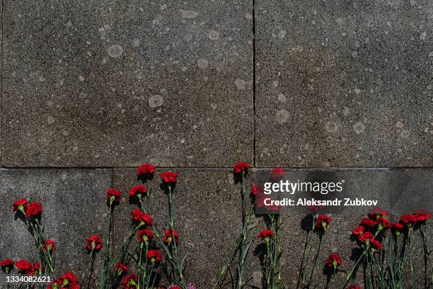 carnation flowers on a granite memorial plaque at the bratsk cemetery in memory of the fallen soviet soldiers of the 2nd world war. the concept of victory day (may 9), the memory of the ancestors, the laying of flowers at the tombstone. - memorial plaque stock-fotos und bilder