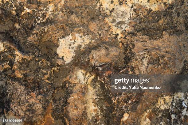 raw stone texture as background - bernstein stock-fotos und bilder