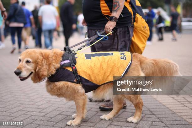 Wolves fan and their dog arrive at the stadium ahead of the Premier League match between Leicester City and Wolverhampton Wanderers at The King Power...