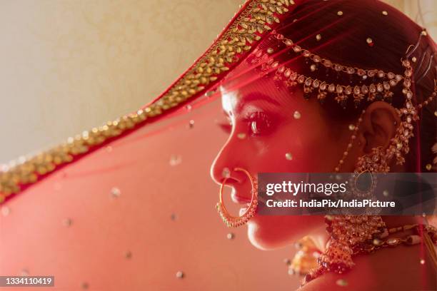 profile of an indian bride through a viel - indian bridal makeup stock pictures, royalty-free photos & images
