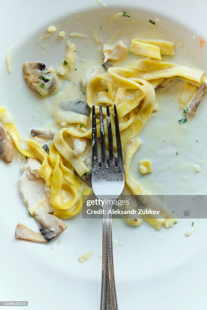 White Plate With Italian Pasta With Mushrooms. Leftover Spaghetti With Cream Sauce.