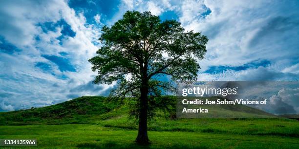 monks mound at monks mound, cahokia mounds state historic site, largest center of population 1000 years ago, cahokia, illinois - cahokia stock pictures, royalty-free photos & images