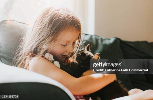 young girl hugs a kitten - pie in the face fotografías e imágenes de stock
