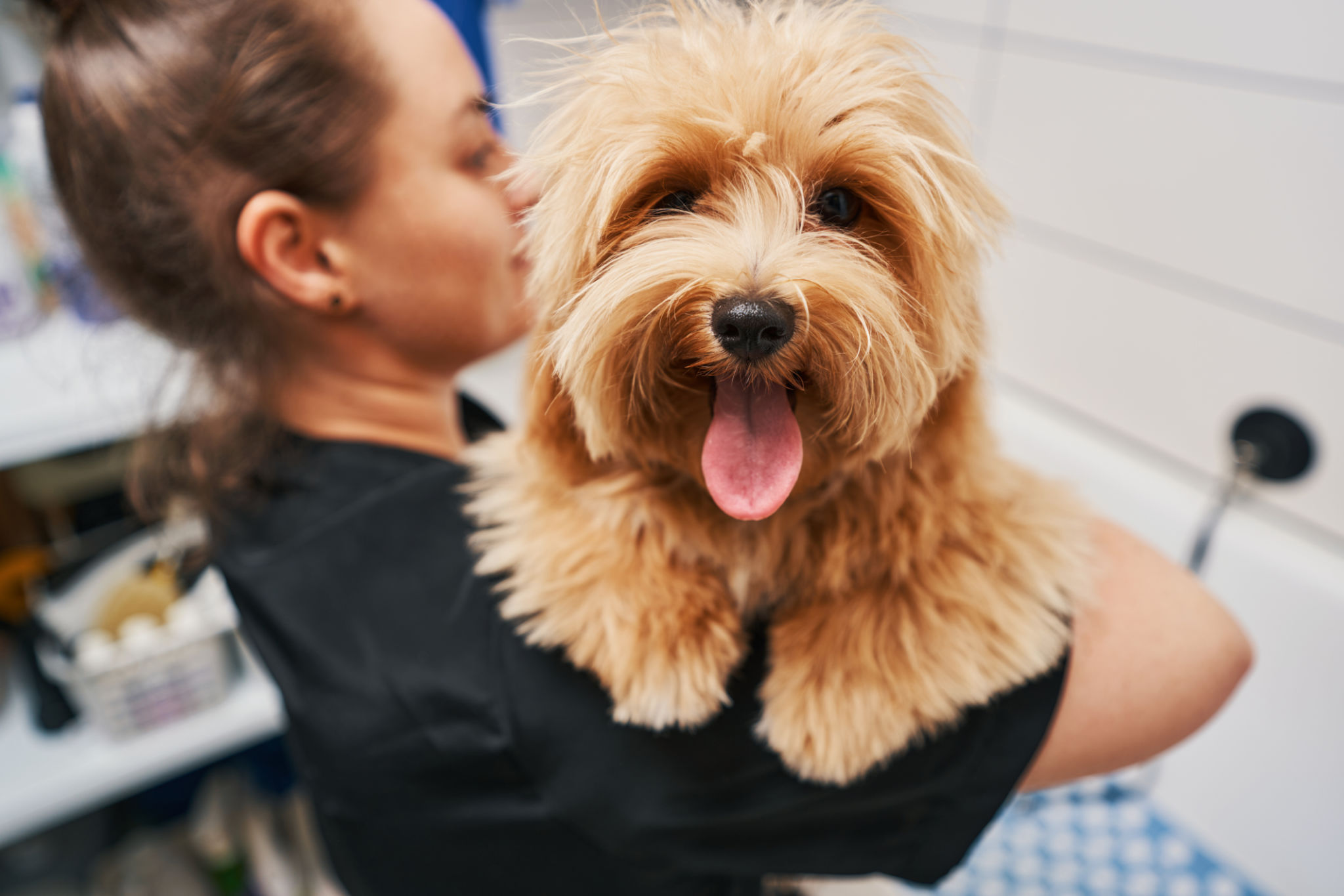 happy pet groomer