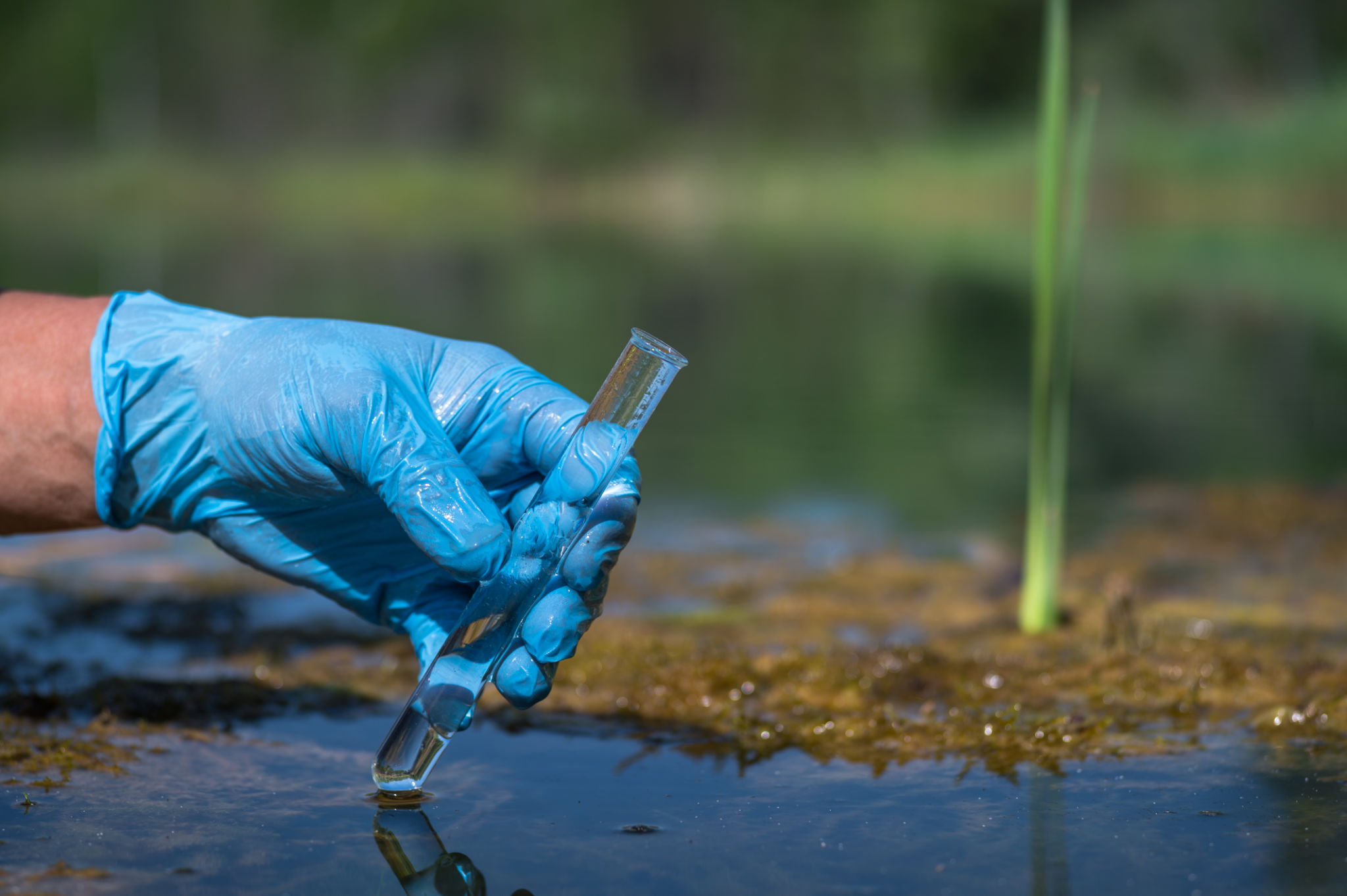 water testing