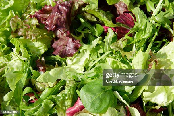image of mixed fresh lettuce of different types - leaf lettuce stockfoto's en -beelden