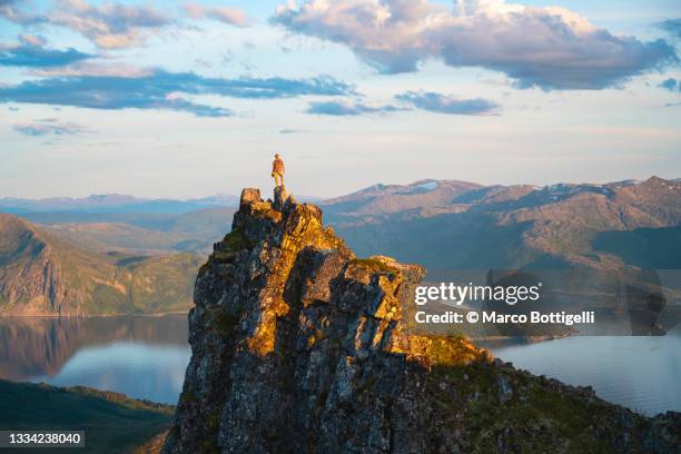 person standing on top of a rocky peak, senja, norway - mountain peak stock pictures, royalty-free photos & images