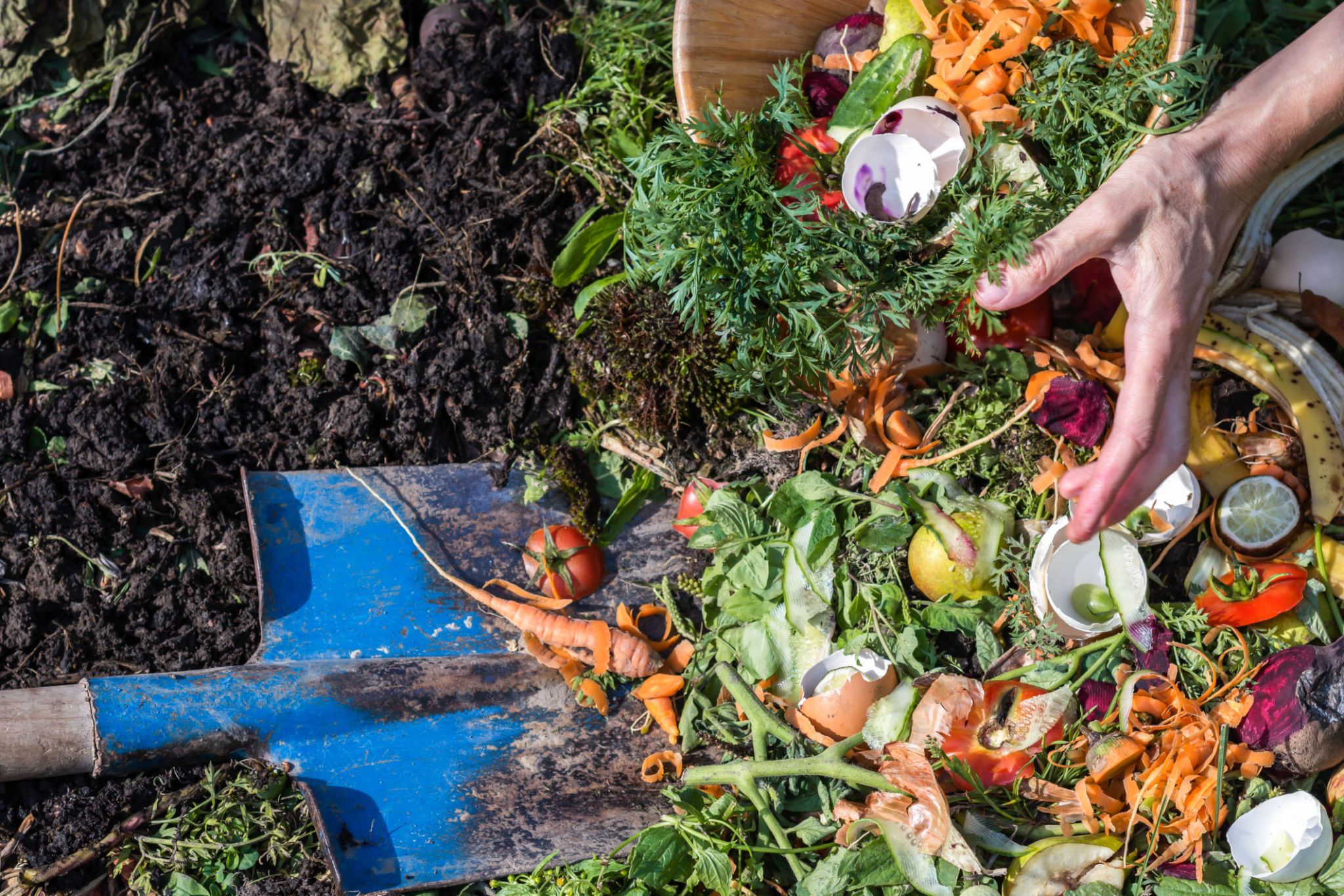 composting farm
