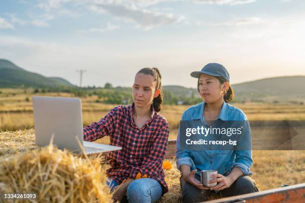 two female farmers sitting on tractor trailer on haystacks and working on laptop together - smart farming stock pictures, royalty-free photos & images