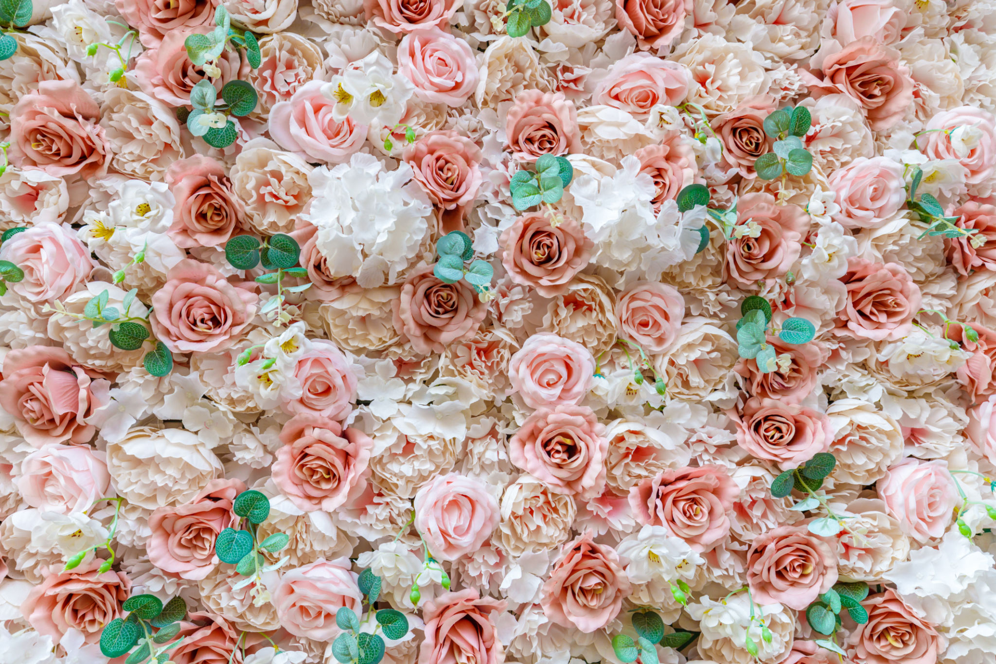 creamy pink roses, wedding and occasional feminine background creamy pink roses, wedding and occasional feminine background