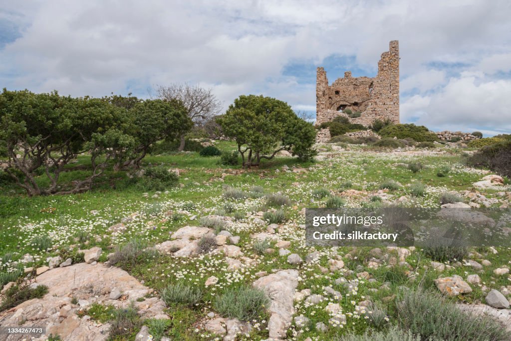 Ruins of the abandoned Dothia tower near Emporios village on Greek Island of Chios in springtime