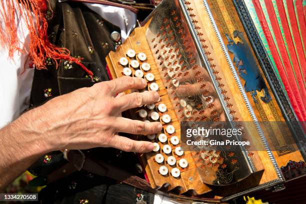 playing the accordion - accordion instrument stock-fotos und bilder