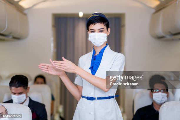 bladre husmor Citere 246点のFlight Attendant Maskのストックフォト - Getty Images