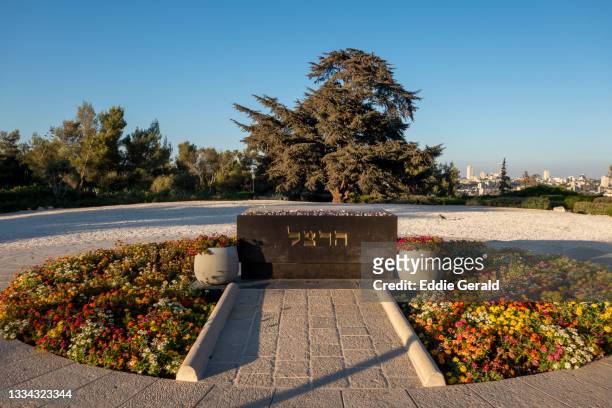 mount herzl in jerusalem - mount herzl stock pictures, royalty-free photos & images