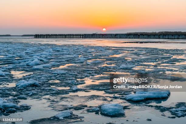 winter sunset, last patches of ice, lake neusiedl, breitenbrunn, burgenland, austria - burgenland - fotografias e filmes do acervo