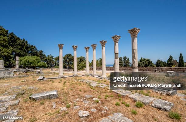 roman columns, ruins of the roman healing temple asklepieion, kos, dodecanese, greece - kos foto e immagini stock