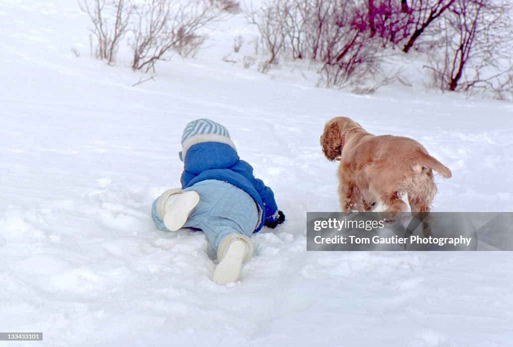 Toddler and her cocker spaniel playing in snow