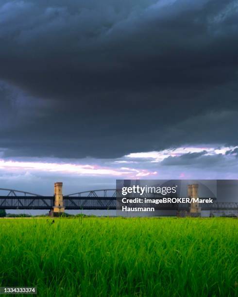 in the background --lisewski bridge--. green grass in the meadow under the bridge. dark clouds over the bridge, tczew, dirschau, poland - dirschau stock-fotos und bilder