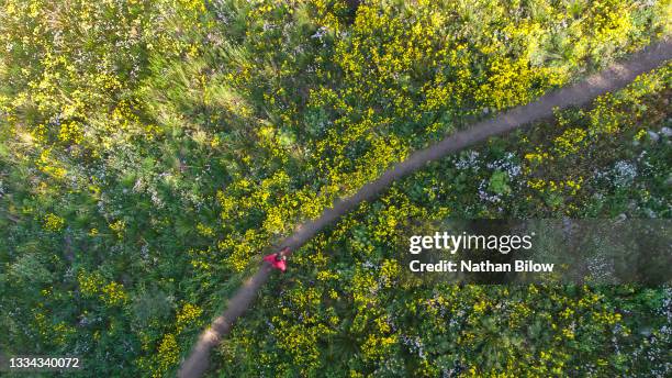 solo male runner within flowers - running path overhead stock pictures, royalty-free photos & images