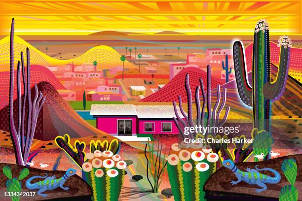 upscale suburban house in lush, vividly colored fantasy palm springs, california desert setting illustration. - coachella 個照片及圖片檔