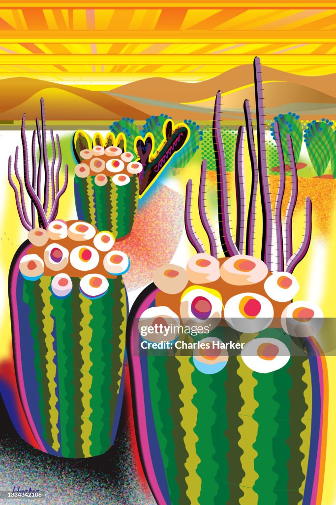 Bright Desert, Cactus, Mountains in distance Landscape Illustration