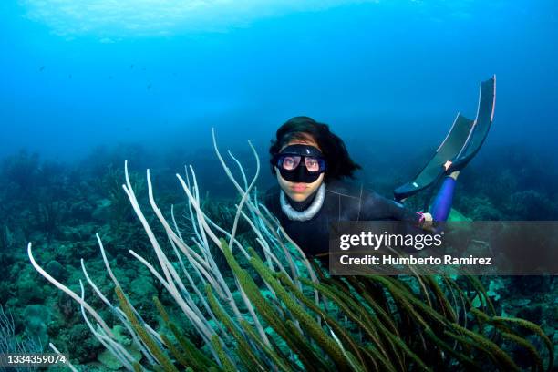 girl that tech dive. - extreme sports point of view stock pictures, royalty-free photos & images