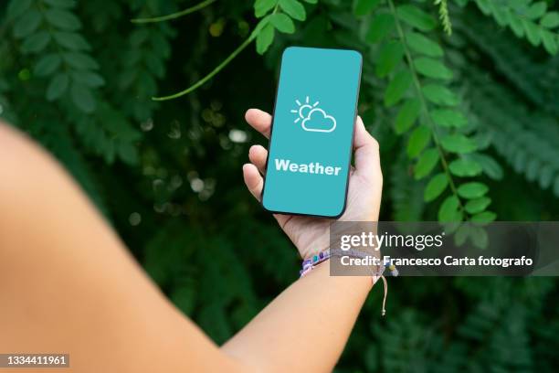 woman checking weather forecast on smartphone - weather app stock pictures, royalty-free photos & images