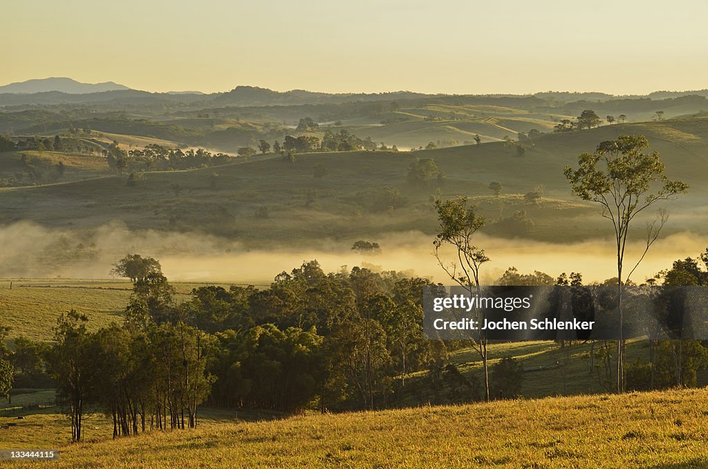 Farmland on foggy morning, Atherton Tableland