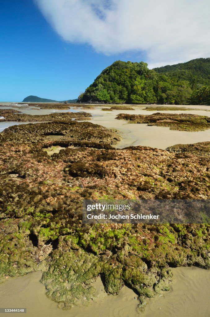 Great Barrier Reef meets rainforest