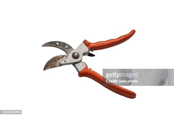 garden pruning shears with orange handles - werkzeug freisteller stock-fotos und bilder