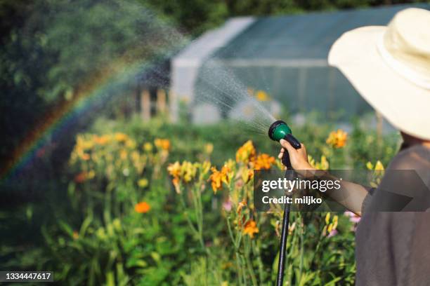 夏の植物の世話 - wet hose ストックフォトと画像
