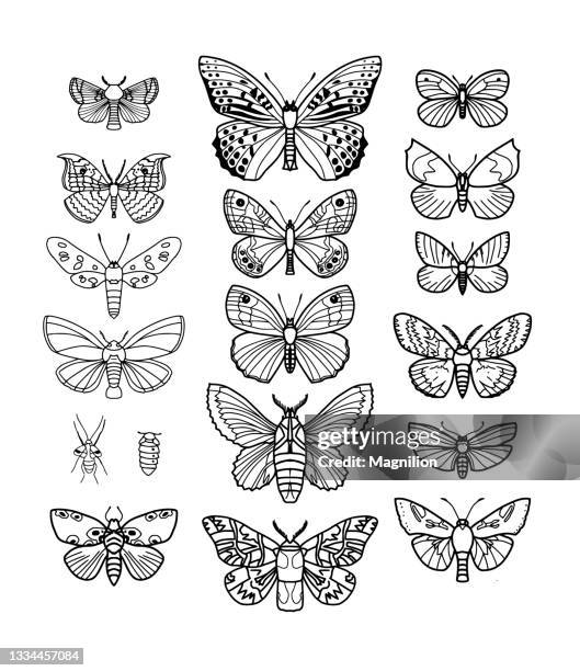 butterfly vector doodle set - flower etching stock illustrations
