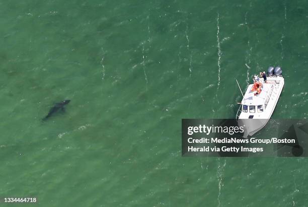 Chatham, MA A Great White Sharks tour boat is guided to a shark along Nauset Beach and Cape Cod National Seashore on August 12, 2021 in , Chatham, MA.
