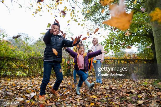 autumn is our favourite season! - throwing leaves stock pictures, royalty-free photos & images