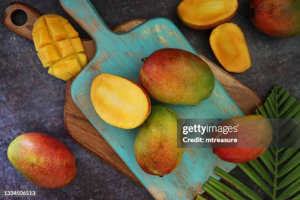 image of wooden, turquoise chopping board, pile of ripe, tropical mango fruit, red skins on wood grain surface against black background, surrounded by palm leaf fronds, one cut into hedgehog cube shapes exposing the orange flesh, elevated view - mango fruit stock pictures, royalty-free photos & images