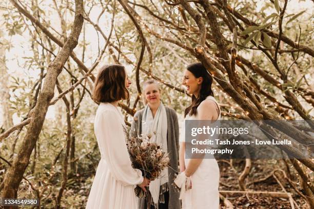 same sex elopement wedding - wedding ceremony bildbanksfoton och bilder