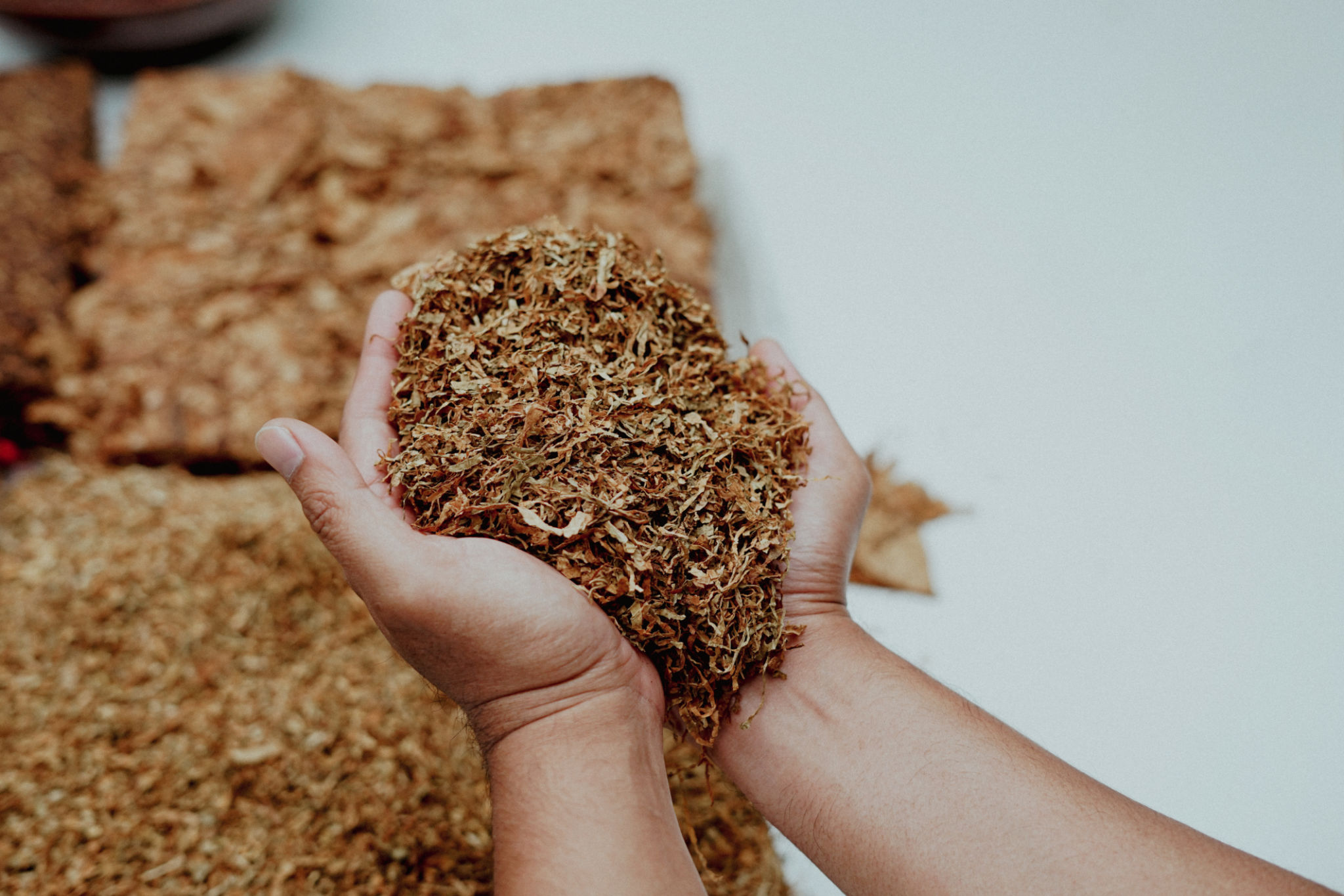 bulk tobacco purchase