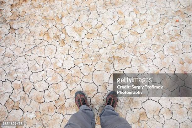 man standing on dry cracked land - lake bed 個照片及圖片檔