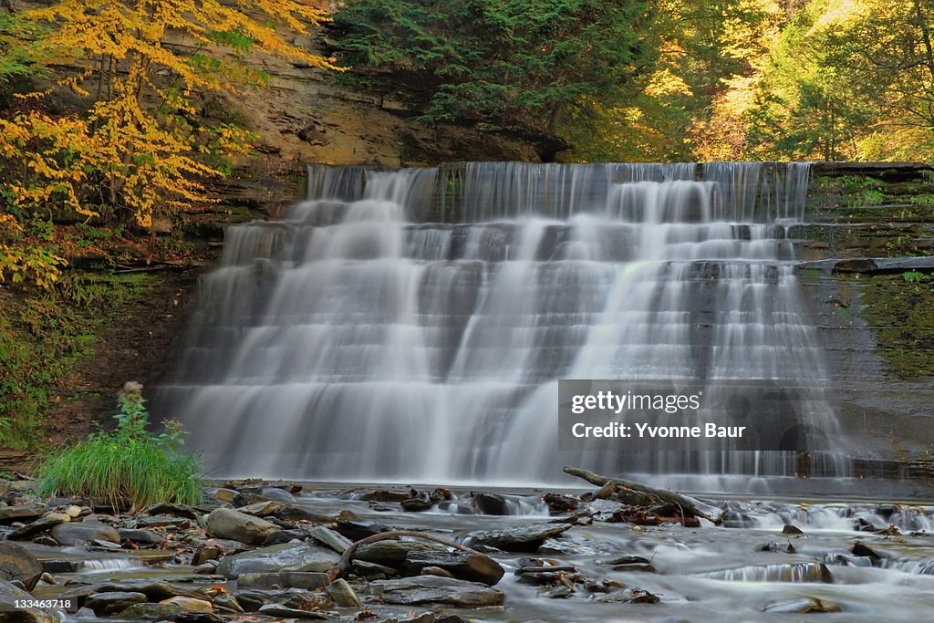 Stony Brook Waterfall