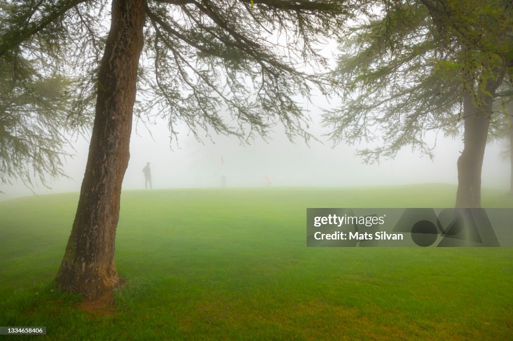 Putting Green on Golf Course with Fog and Trees