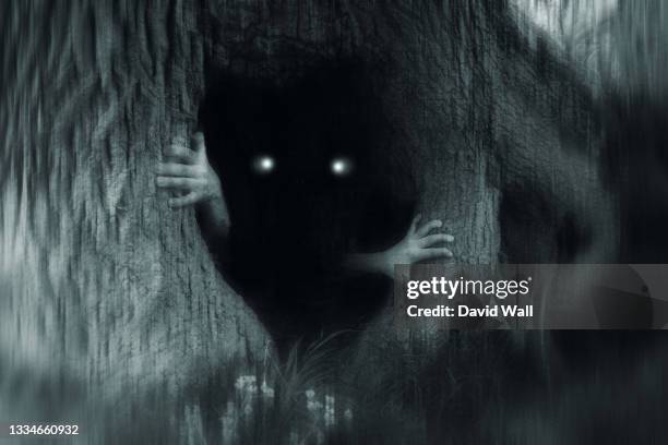 a spooky horror concept of a monster with glowing eyes, hiding in a tree trunk, in a dark spooky forest. with a grunge, blurred, edit. - monstre photos et images de collection