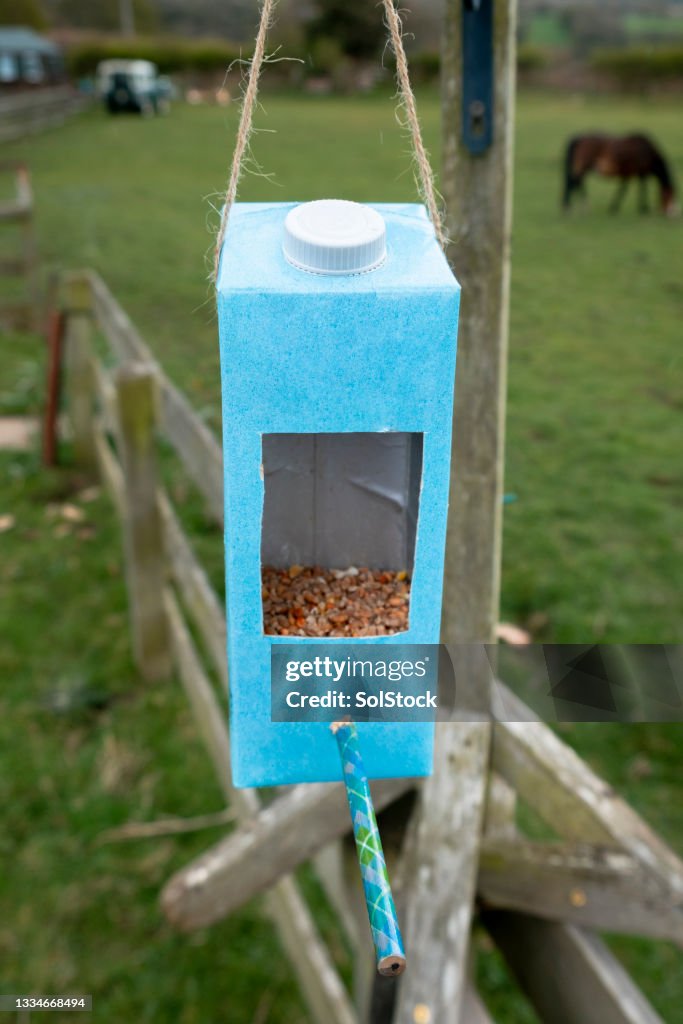 Milk Carton Recycled as a Bird Feeder
